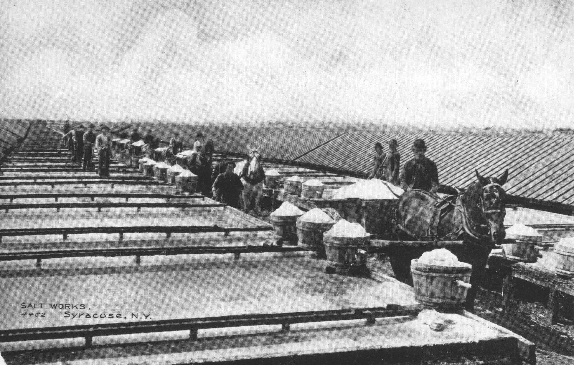 History of Salt City