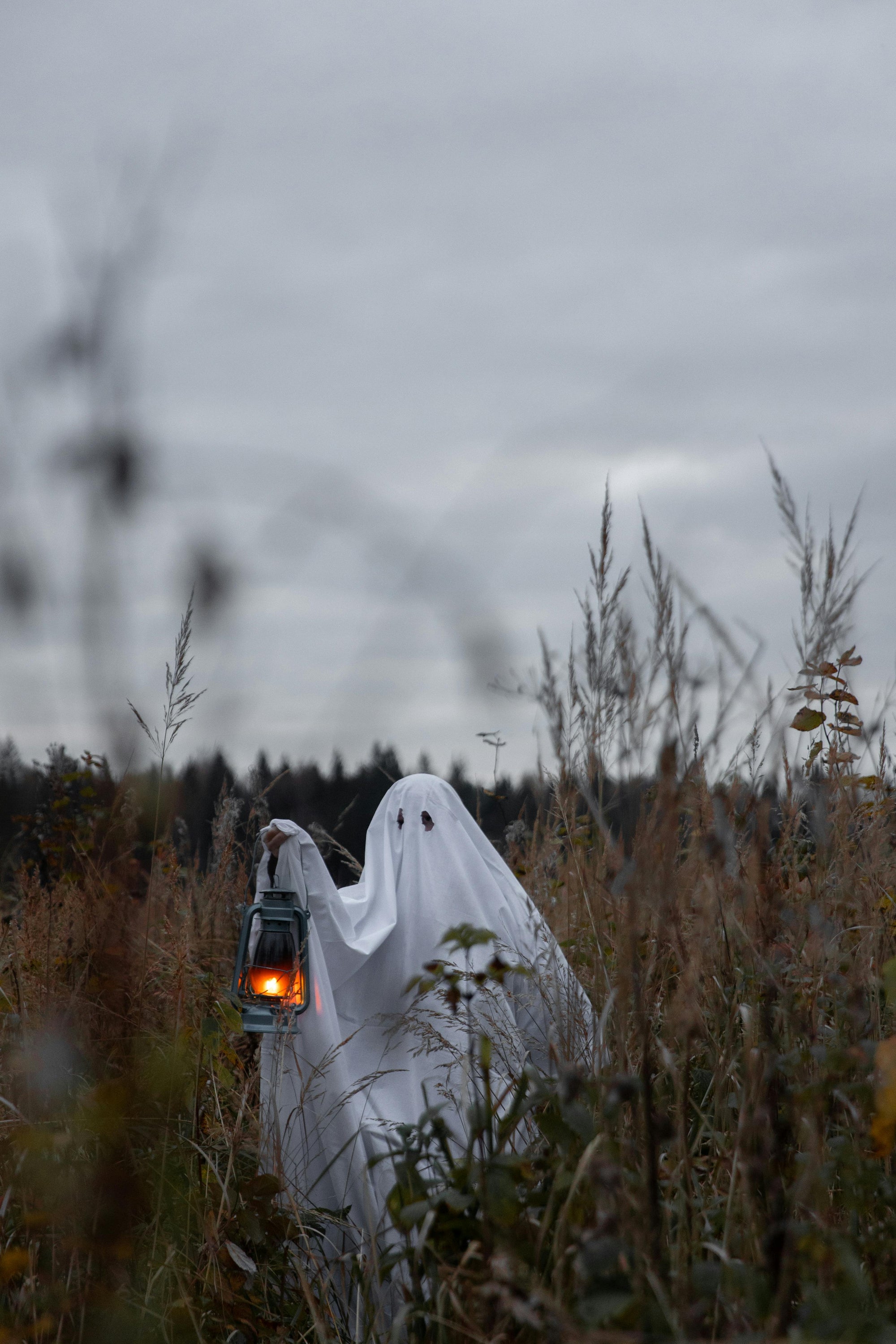 Embrace the Heat: Ghost Pepper Flake Salt for a Spooky Season